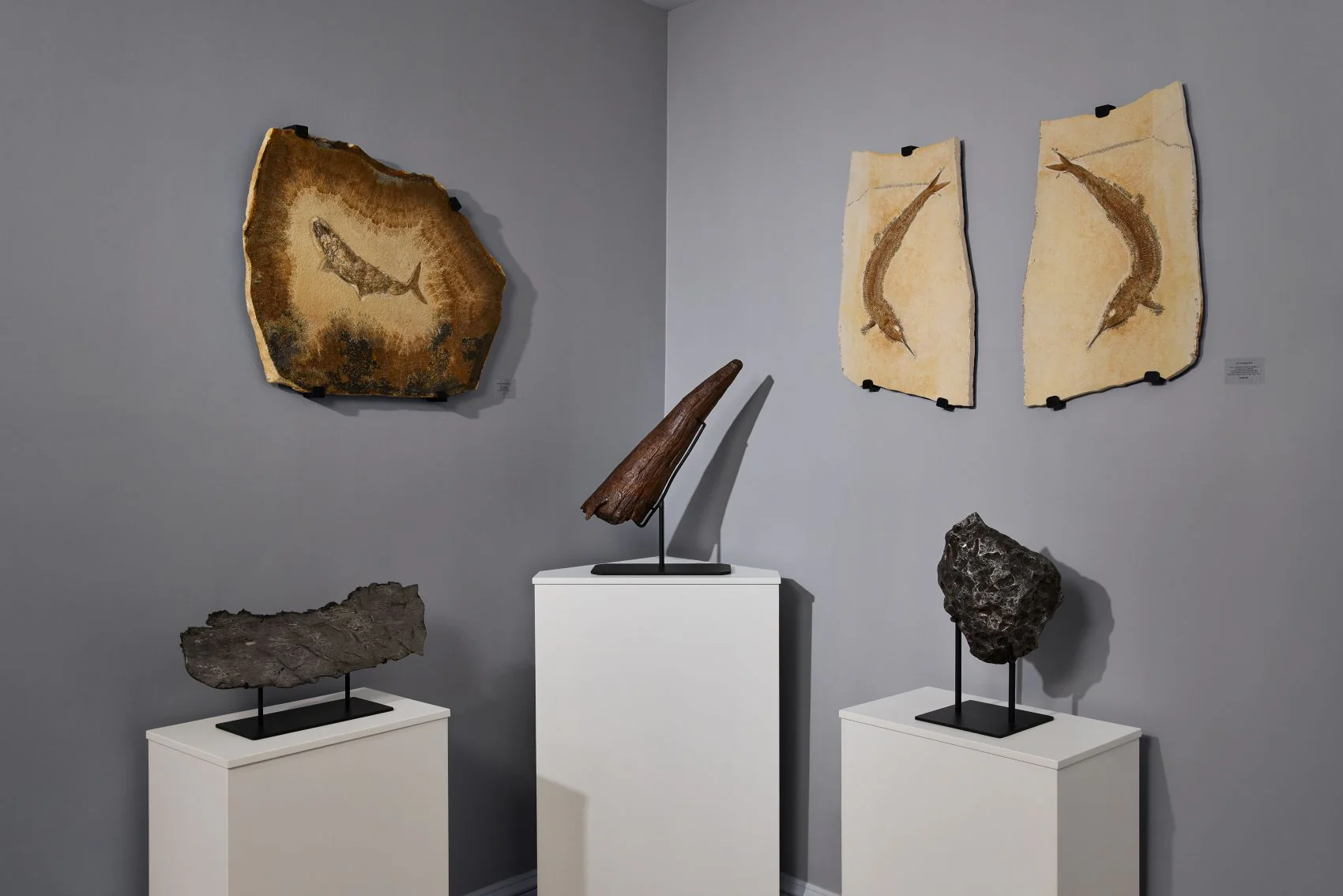 Iron Meteorite, Campo del Cielo - 28 kg - Image 7