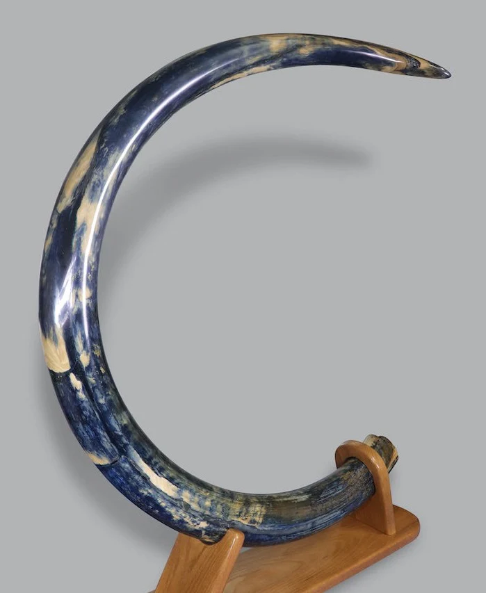 Mammoth Tusk, Alaska, United States - Image 3