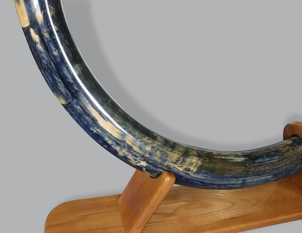Mammoth Tusk, Alaska, United States - Image 6