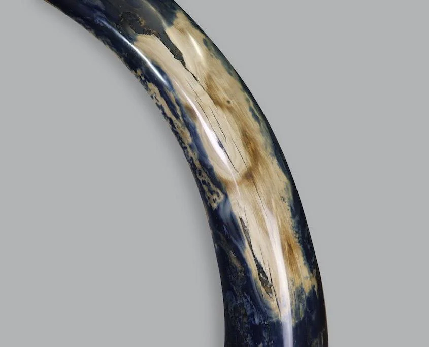 Mammoth Tusk, Alaska, United States - Image 9