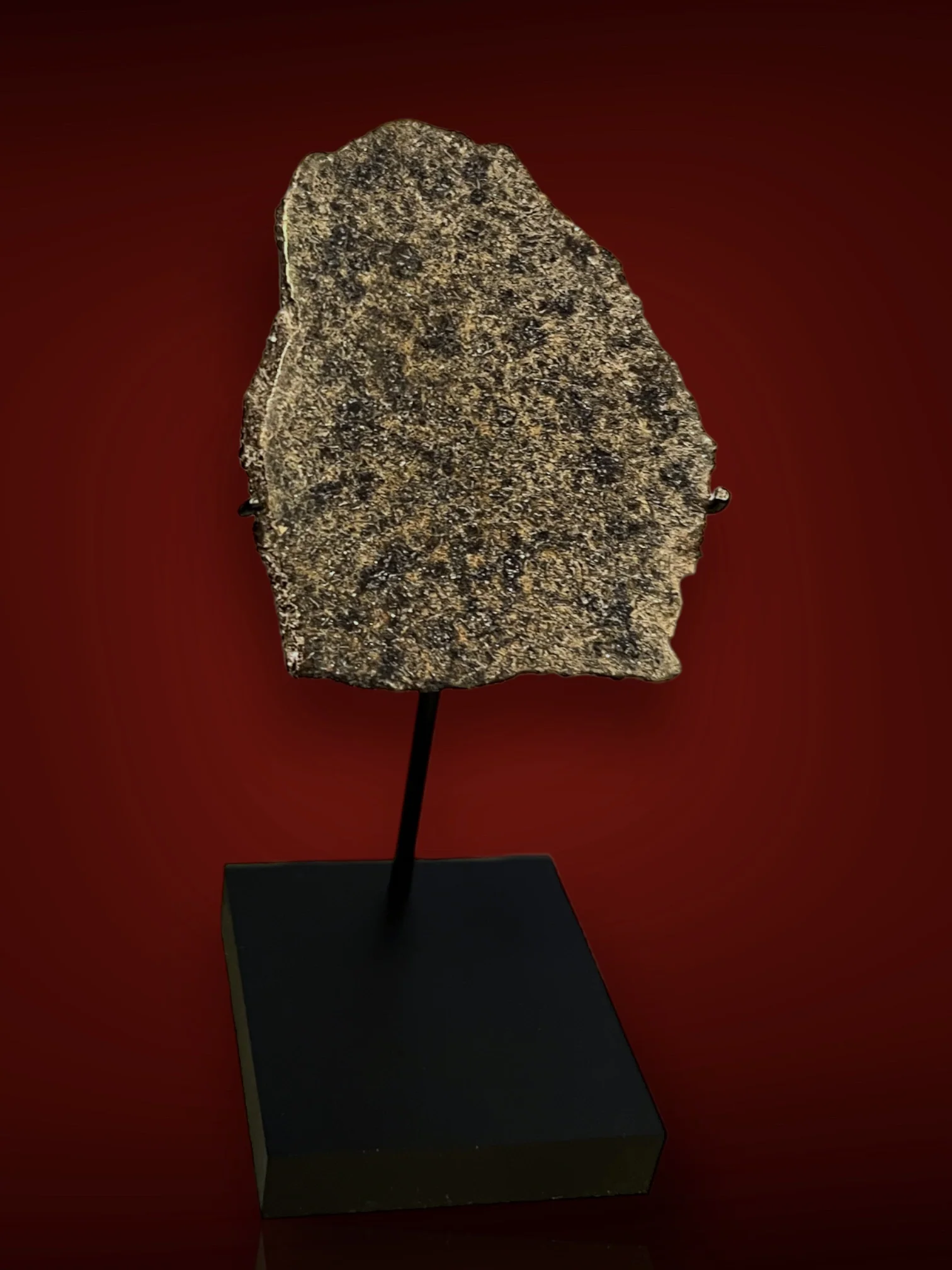 Martian Meteorite Slice, Shergottite - 23.5 grams - Image 3